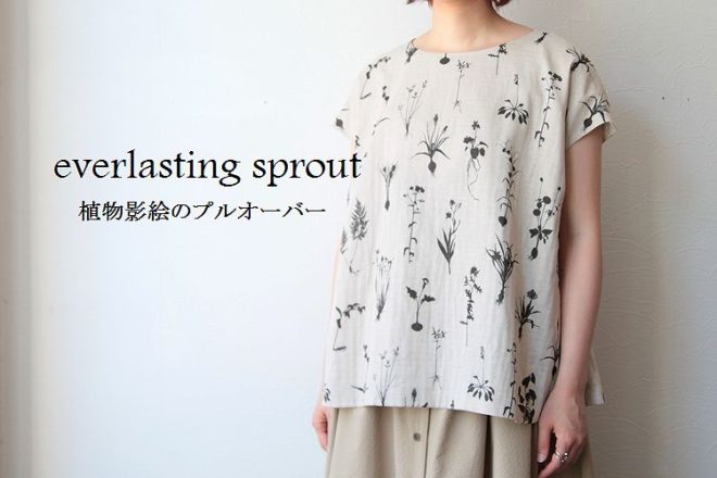 everlasting sprout